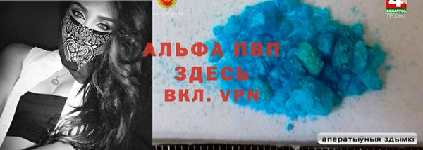PSILOCYBIN Корсаков