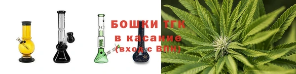 PSILOCYBIN Корсаков