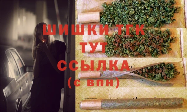 PSILOCYBIN Корсаков