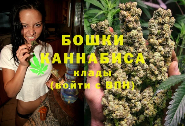 PSILOCYBIN Корсаков