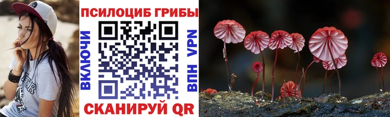 Галлюциногенные грибы прущие грибы  Купить закладки  Мелеуз 
